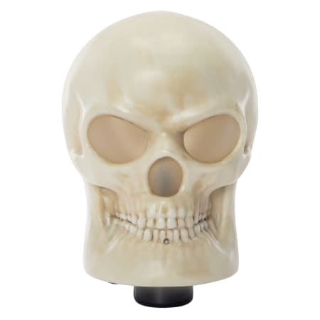Animated Screaming Skull with Lights and Motion Halloween Decoration