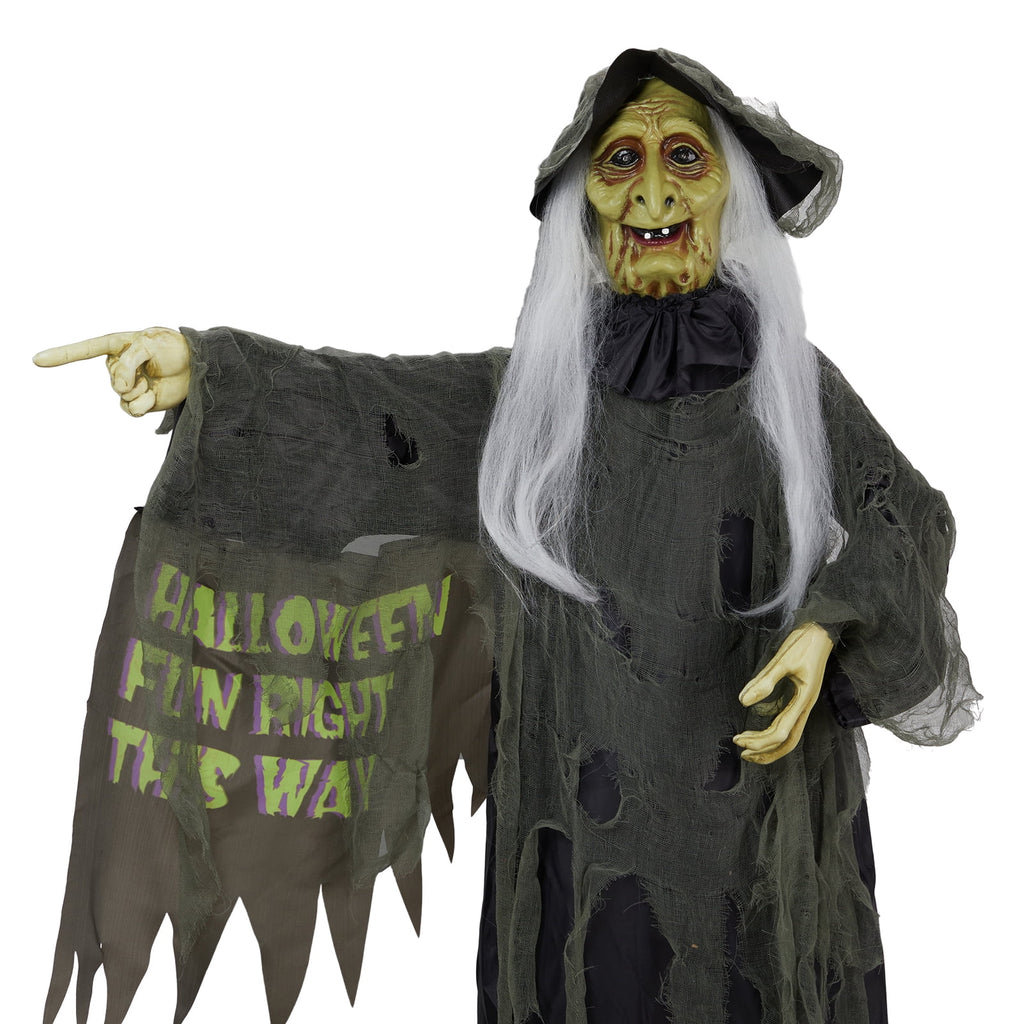 Yescom 9ft Flying Witch with Vulture & Owl Skeleton Halloween Outdoor Décor 2026