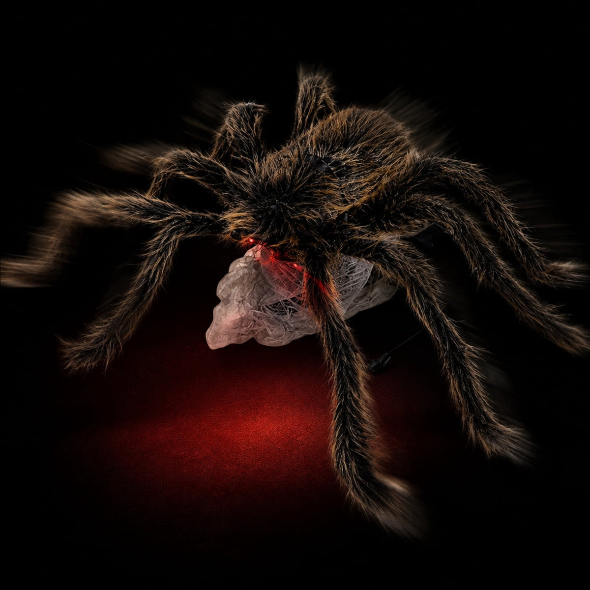 Animated Jumping Spider Prop, Fuzzy Halloween Decor With Light Sound, 35.4 in