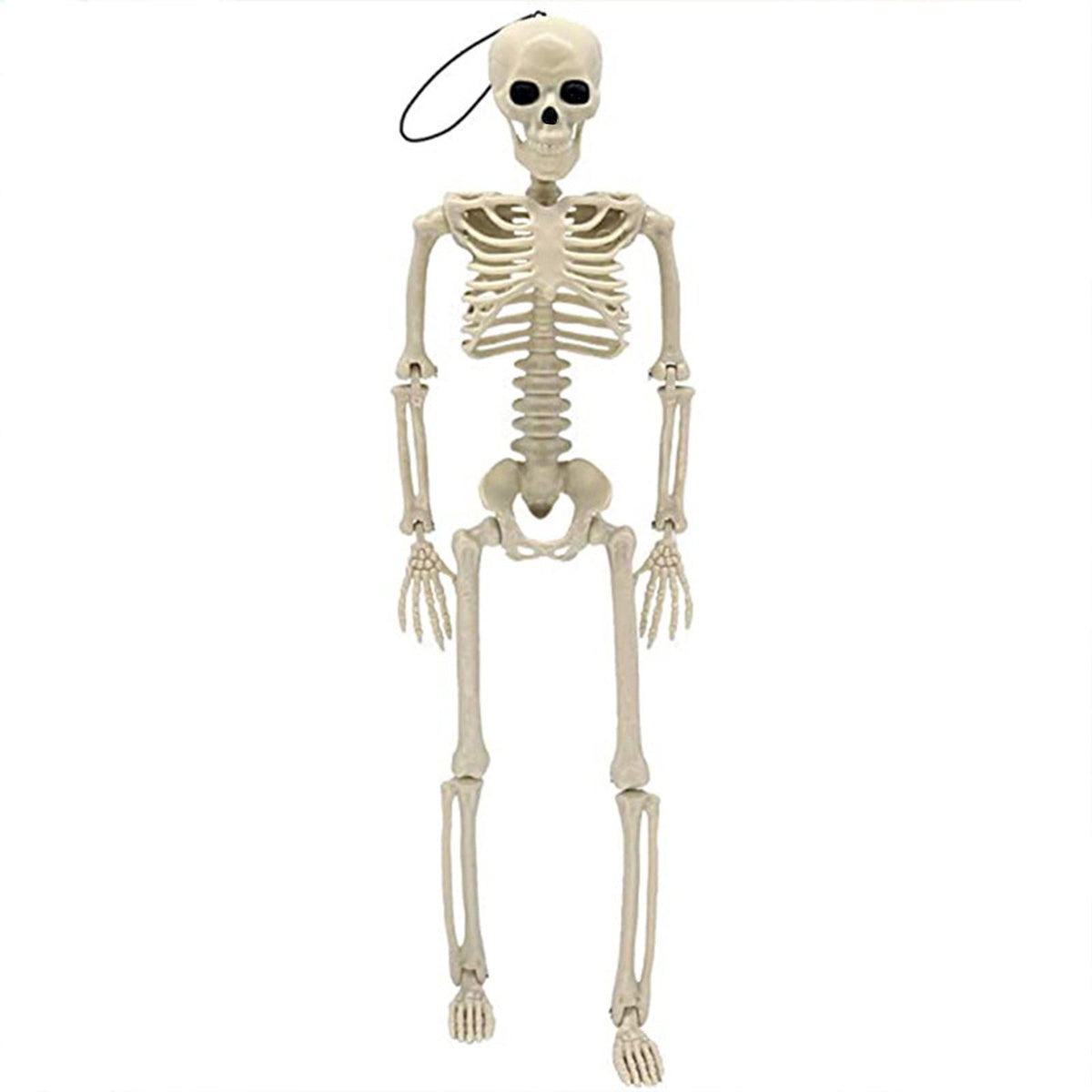 BiFandian Halloween Skeleton Ghost Decoration, Moving Skeleton Simulation Human Skeleton with Poseable Joints, Spooky Animated Figure for Haunted Yard, Party, Halloween Decoration Outdoor